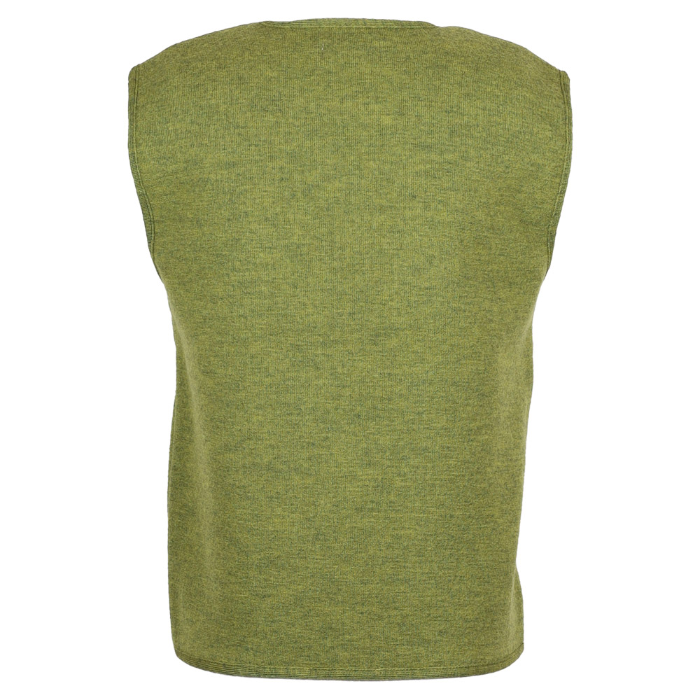 Walk Pullunder | farn